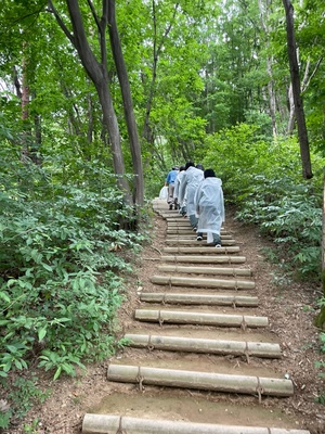 1차+숲체험+모자이크+(12).jpg