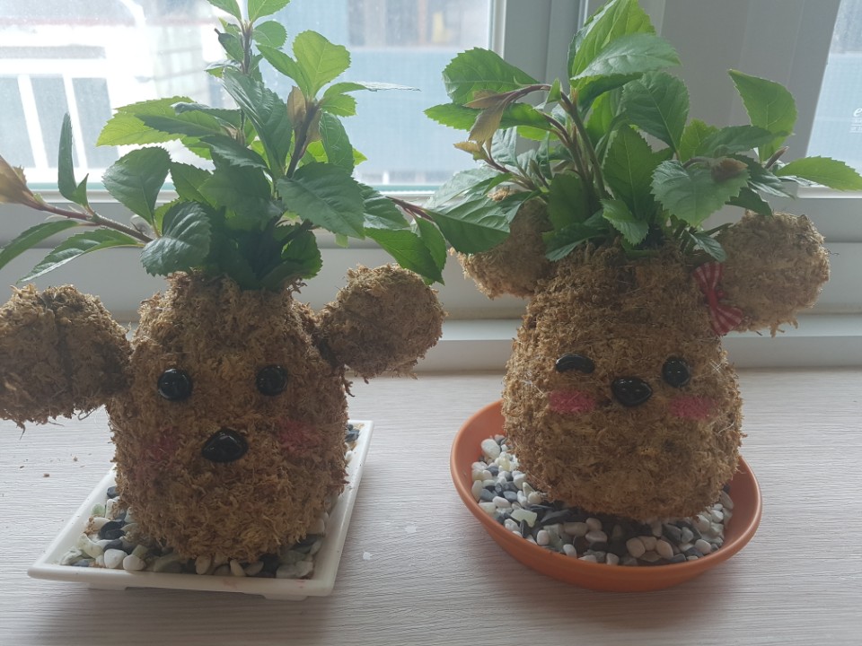 KakaoTalk_20170907_055216991.jpg