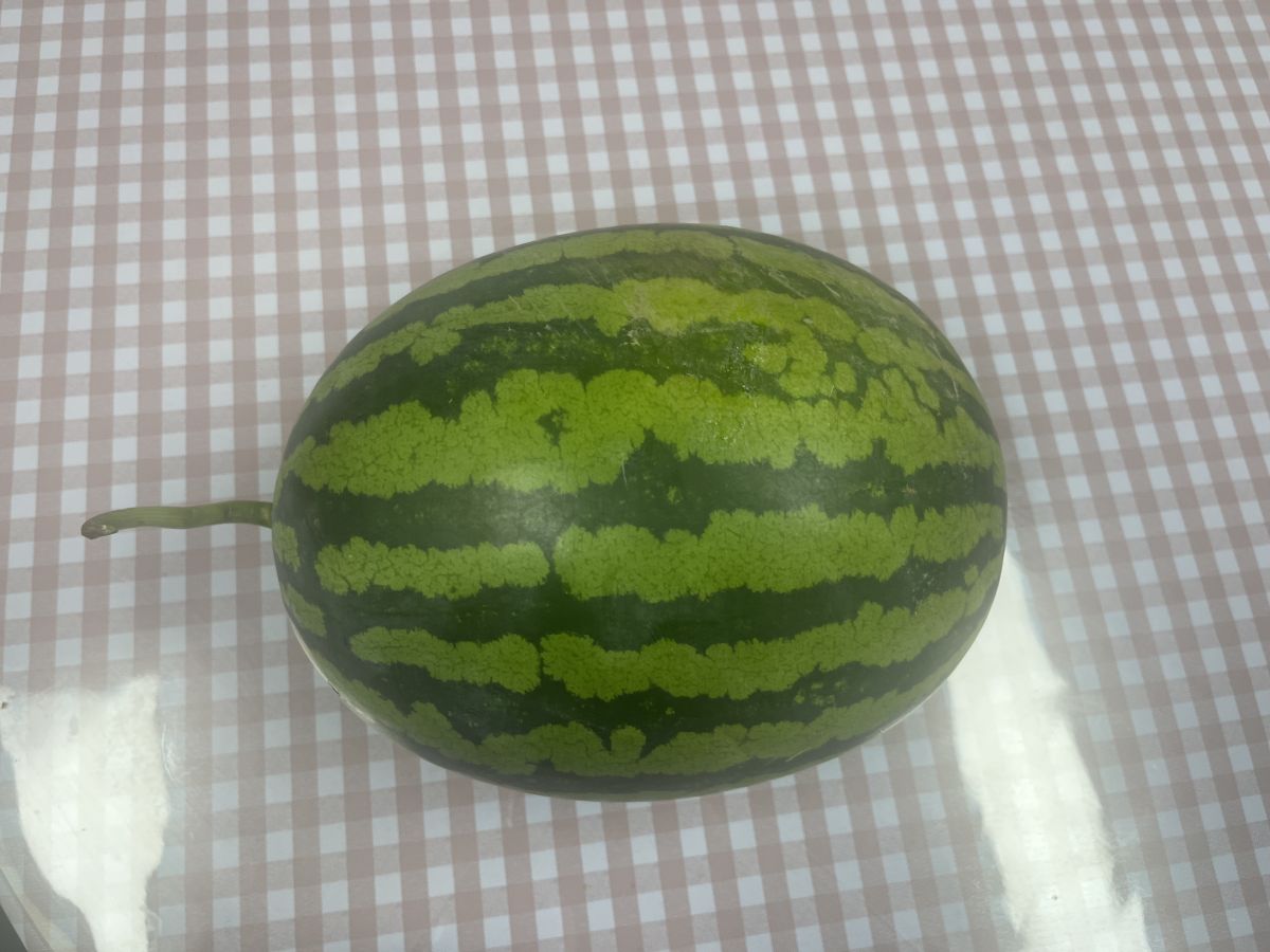KakaoTalk_20250626_130742846.jpg